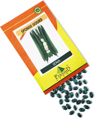 

Pyramid Seeds Sponge Gourd Seed(10 per packet)