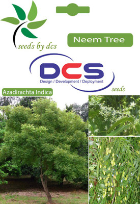 

DCS Neem Seed(10 per packet)