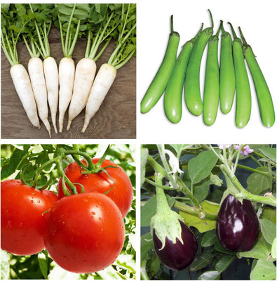 

Real Seed Radish Long White, Bottle Gourd, Tomato and Brinjal Hybrid Seed(30 per packet)