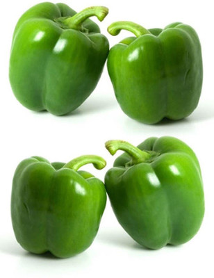 

Real Seed Green Capsicum F1 Hybrid Vegetable Seeds Seed(20 Per Packet)