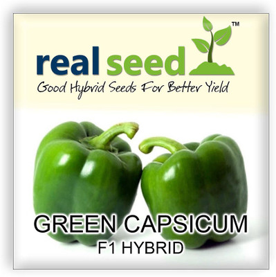 

Real Seed Green Capsicum Seed(5 per packet)