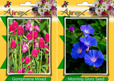 Airex Gomphrena Mixed and Morning Glory Seed(15 per packet)
