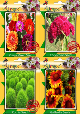 

Airex Zinnia Mixed,Cockscomb,Kochia and gaillardia Seed(25 per packet)