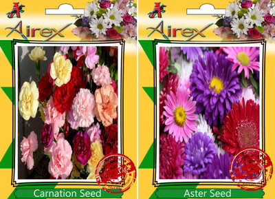 Airex Carnation, Aster Seed(15 per packet)