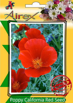

Airex Poppy california Red Winter Flower Seed(25 per packet)