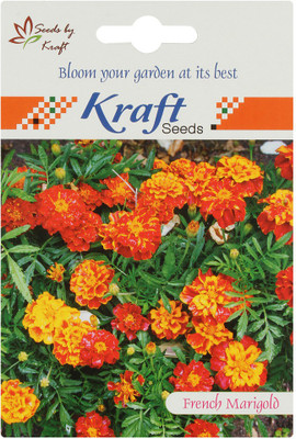 

Kraft Seeds French Marigold Seeds (Red) by Kraft Seeds Seed(1 per packet)