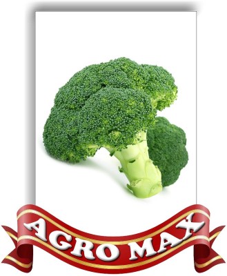 Agro Max BROCOLLI Seed(50 per packet)