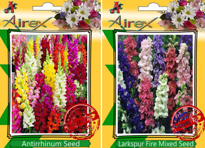 

Airex Antirrhinum, Larkspur Fire Mixed Seed(25 per packet)