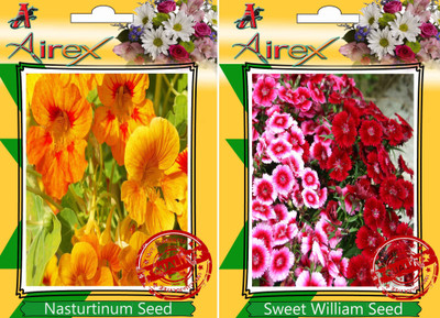 Airex Nasturtium Mixed, Sweet William Seed(15 per packet)