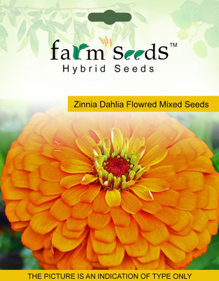 

FARM SEEDS Zinnia Dahlia Flowred Seed(100 per packet)