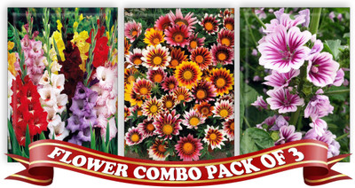 

Real Seed Flower Combo Pack - Larkspur Mixed, Gazania Mixed, Holyhock Malwa F1 Hybrid Seeds Seed(3 per packet)