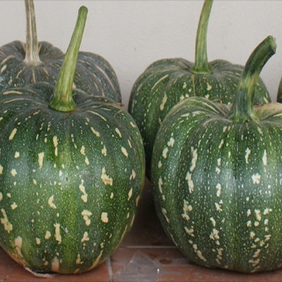 

Biocarve Pumpkin Seed(20 per packet)