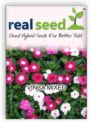 

Real Seed Vinca Flower Seed(30 Per Packet)