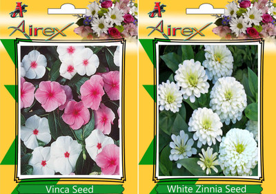

Airex Vinca, White Zinnia Seed(25 per packet)