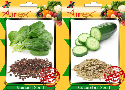 Airex Spinach and Cucumber Seed(20 per packet)