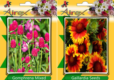 Airex Gomphrena Mixed and Gaillardia Seed(15 per packet)