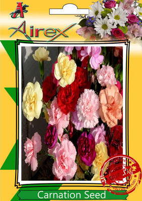 Airex Carnation Seed(15 per packet)