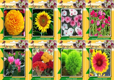 Airex Marigold,Sunflower,Vinca,Gomphrena Mixed,Lotus,Cockscomb,Kochia and Gaillardia Seed(25 per packet)