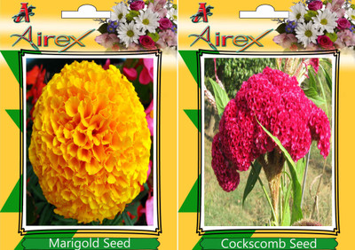 Airex Marigold, Cockscomb Seed(15 per packet)