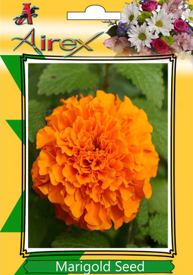

Airex Marigold Seed(500 per packet)