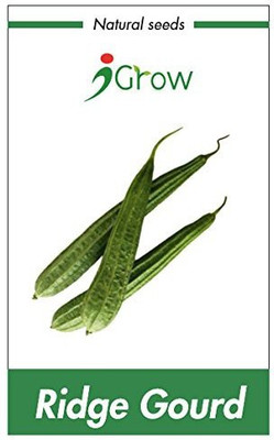 iGrow Ridge Gourd Seeds Seed(10 per packet)