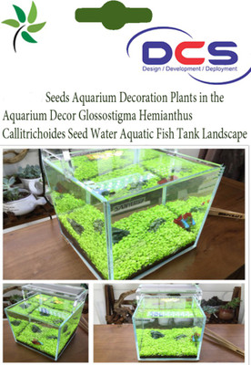 

DCS Aquarium-Decoration-Plants Seed(50 per packet)