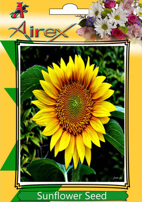 

Airex Sunflower Seed(360 per packet)