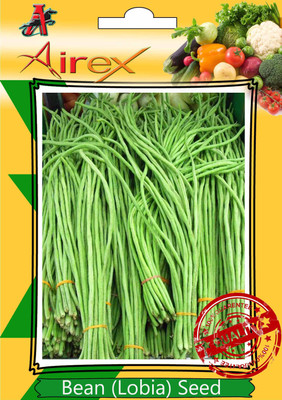 Airex Bean (Lobia) Seed(20 per packet)
