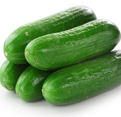 

Biocarve Cucumber Seed(50 per packet)
