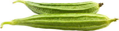 Farm Seeds Ridgegourd Seed(35 per packet)