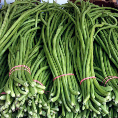 

Farm Seeds Hybrid Long Beans Seed(70 per packet)
