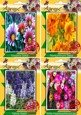 

Airex Gazania, Nasturtium Mixed, Salvia, Midday Seed(30 per packet)
