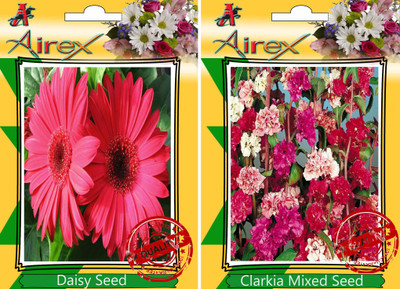 

Airex Daisy, Clarkia Mixed Seed(25 per packet)