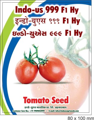 Indous Agriseeds Tomato Seed(10 per packet)