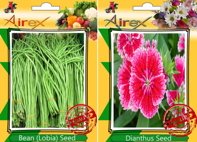 Airex Bean (Lobia), Dianthus Seed(25 per packet)