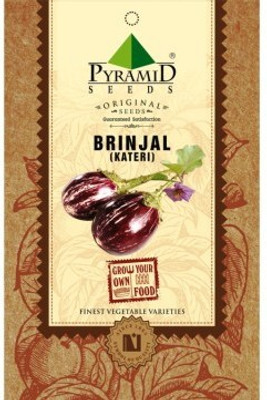 

Pyramid Seeds Brinjal Seed(200 per packet)
