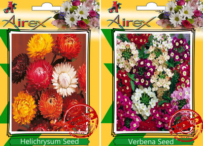 Airex Helichrysum Mixed, Verbena Seed(25 per packet)