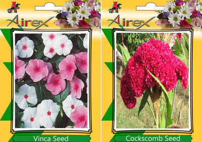 

Airex Vinca and Cockscomb Seed(20 per packet)