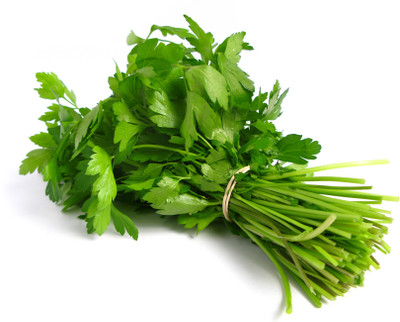 

Farm Seeds Coriander Seed(100 per packet)
