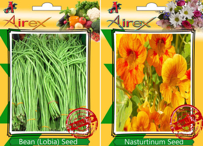 Airex Bean (Lobia), Nasturtium Mixed Seed(25 per packet)