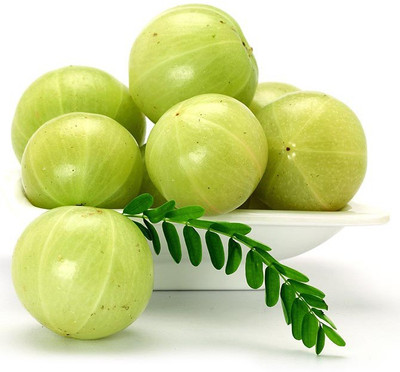 

Real Seed Indian Gooseberry (Amla) Hybrid Herb Seeds Seed(35 per packet)