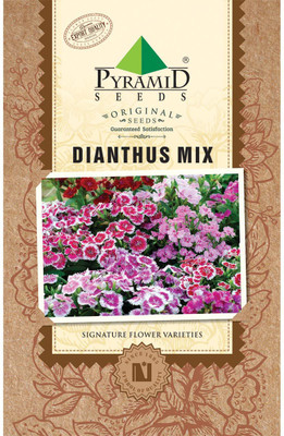 

PYRAMID SEEDS Dianthus Mix Seed(100 per packet)