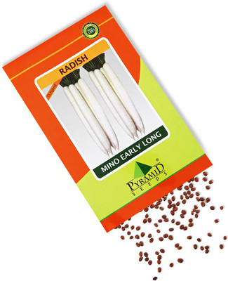 

Pyramid Seeds Radish Seed(50 per packet)