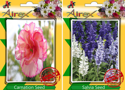 

Airex Carnation, Salvia Seed(25 per packet)
