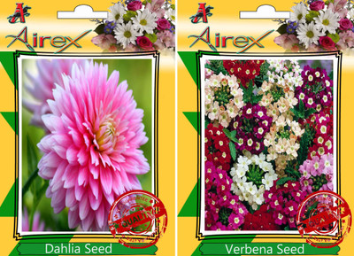 

Airex Dahlia, Verbena Seed(25 per packet)