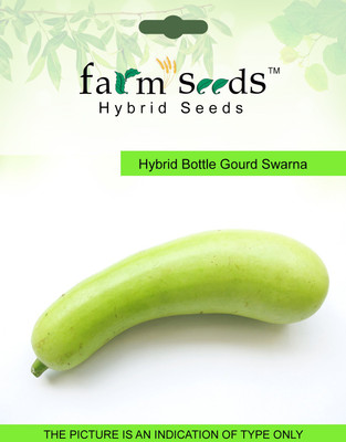 

FARM SEEDS Hybrid Bottle Gourd Swarna Seed(30 per packet)