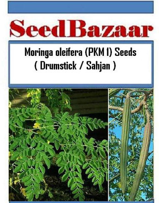 

Seedbazaar Drumstick, Sahjan, Sahajan Seed(25 Per Packet)
