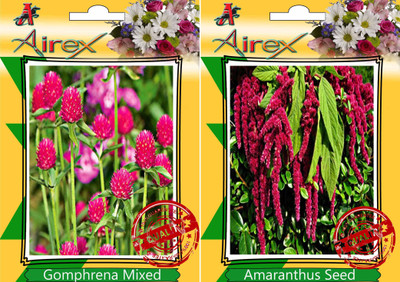 

Airex Gomphrena Mixed and Amaranthus Seed(20 per packet)