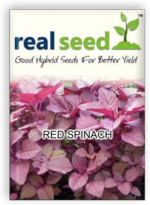 

Real Seed Red Spinach (Amaranth) Seed(100 Per Packet)