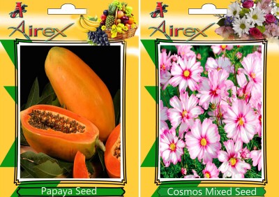 Airex Papaya and Cosmos Mixed Seed(20 per packet)
